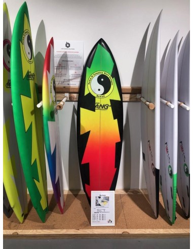 SAINT ( model POTT'Z 1982) (TOWN & COUNTRY (TC)) | Board (Planches de surf) - Surf | Cendres de Lune - SARL ROBA Ajaccio