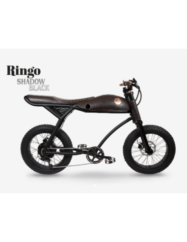RAYVOLT RINGO BLACK SHADOW UNLIMITED POWER (RAYVOLT PREMIUM E BIKE) | E-bike - Vélos électriques | Cendres de Lune - SARL ROBA